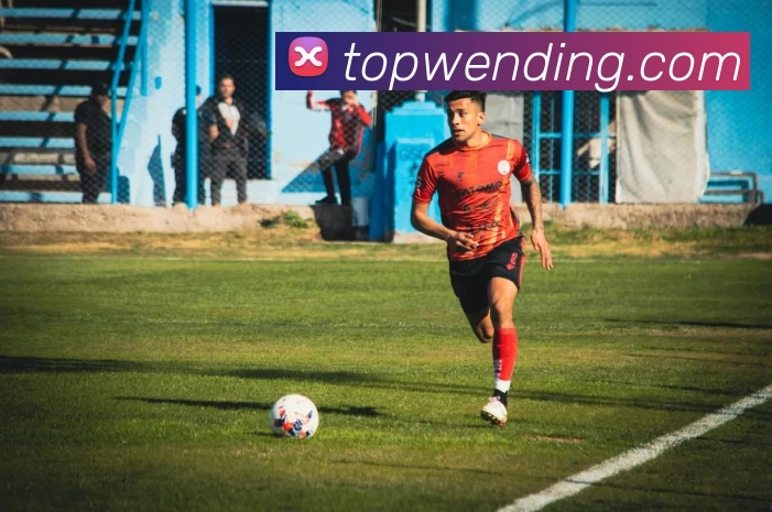 问鼎国际app服务体系